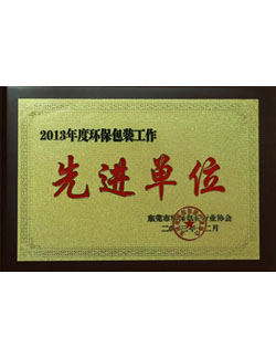 2013年度環(huán)保包裝工作先進(jìn)單位